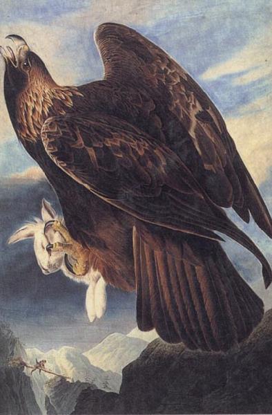 John James Audubon Golden Eagle oil painting image